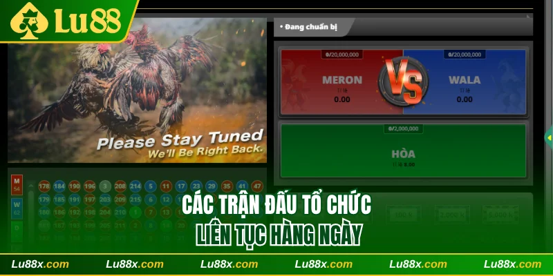 Các trận đấu tổ chức liên tục hàng ngày