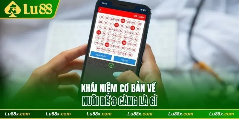 Khái niệm cơ bản về nuôi đề 3 càng là gì