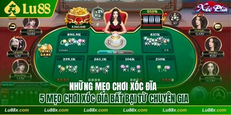 Khám phá 5 mẹo chơi xóc đĩa bất bại từ chuyên gia 